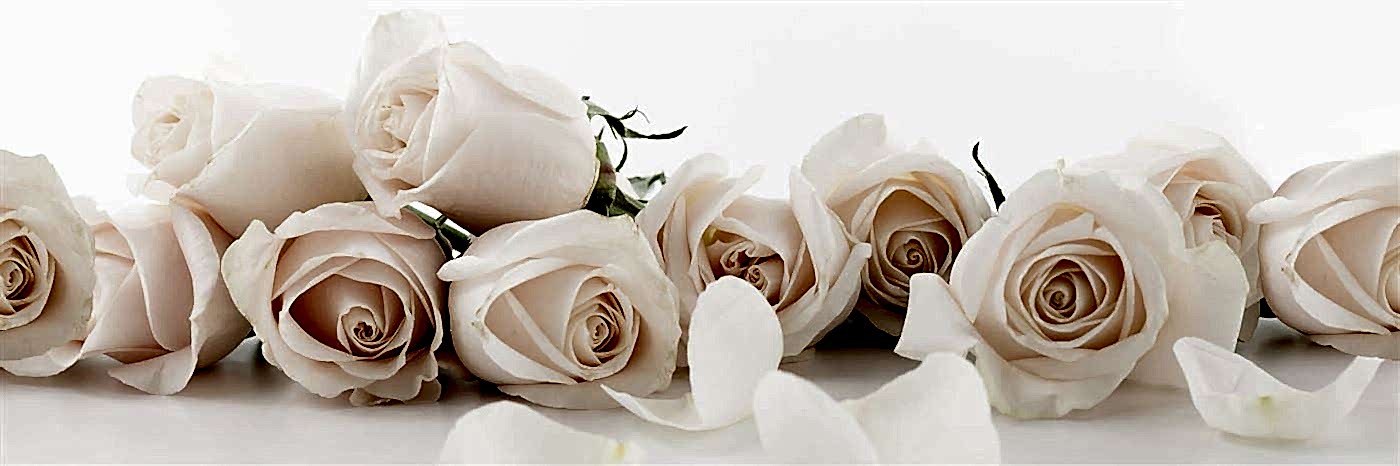 6LI SERAMİK SET DEKOR (SD-K011)