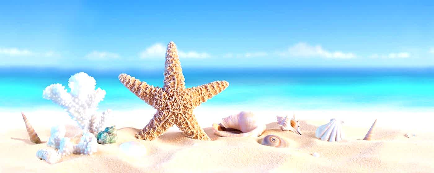 5Lİ SERAMİK SET DEKOR (SD-K352)