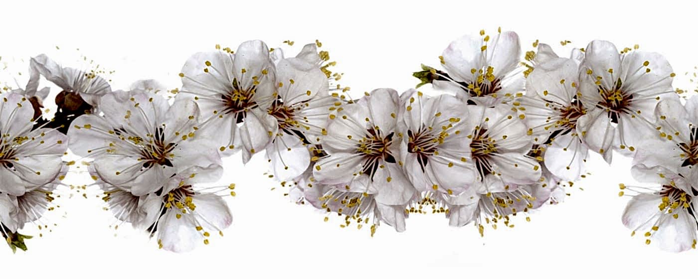 5Lİ SERAMİK SET DEKOR (SD-K750)